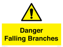 danger-falling-branches~